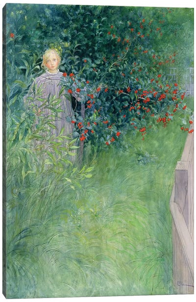 In the Hawthorn Hedge Canvas Art Print - Carl Larsson