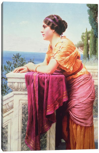 The Belvedere Canvas Art Print
