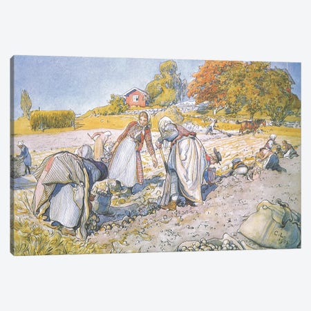 The children filled the buckets and baskets with potatoes Canvas Print #BMN9431} by Carl Larsson Canvas Wall Art