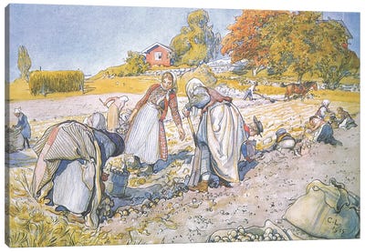 The children filled the buckets and baskets with potatoes Canvas Art Print - Carl Larsson