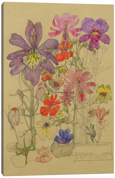 Butterfly Flower, Bowling, 1912 Canvas Art Print