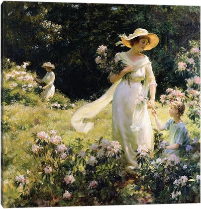 Among the Laurel Blossoms, 1914 Canvas Art Print