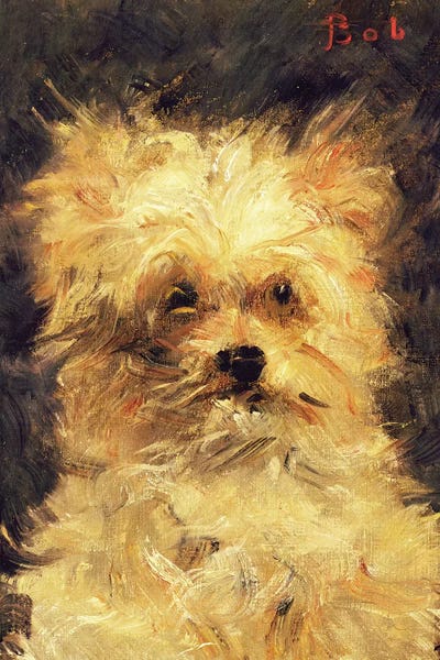 Head of a Dog - "Bob", 1876 by Edouard Manet canvas print