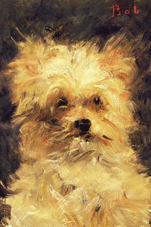 Head of a Dog - "Bob", 1876