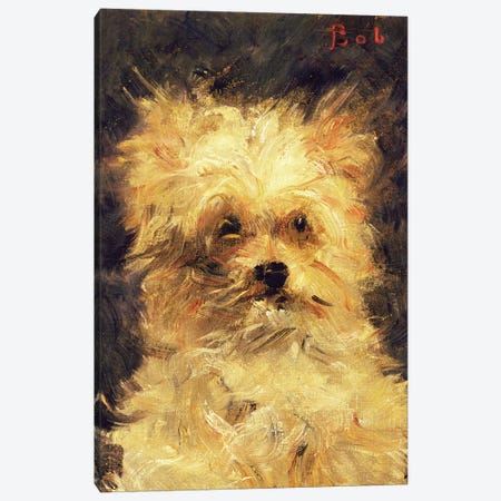 Head of a Dog - "Bob", 1876 Canvas Print #BMN9473} by Edouard Manet Canvas Wall Art