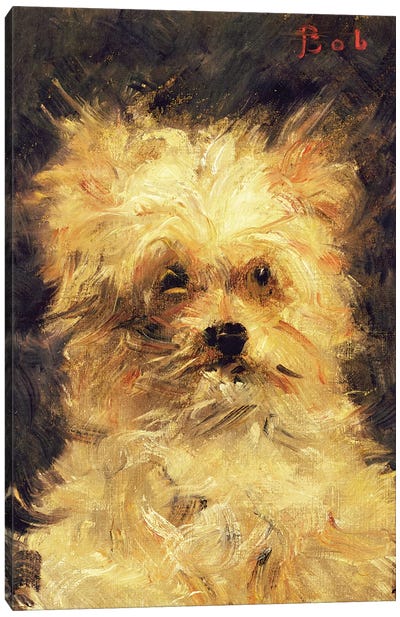 Head of a Dog - "Bob", 1876 Canvas Art Print - Edouard Manet