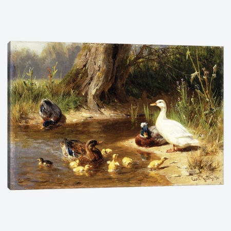 Ducks at the Water's Edge, 1874 Canvas Print #BMN9506} by Carl Jutz Art Print