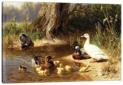 Ducks at the Water's Edge, 1874 Canvas Art Print