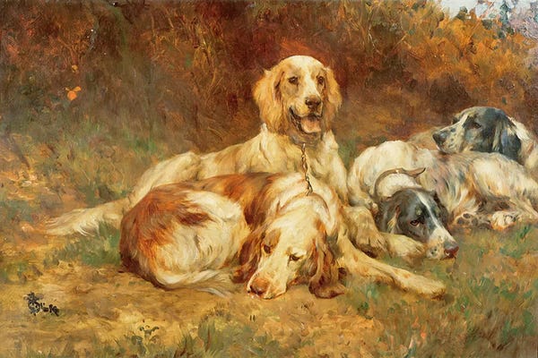 Spaniels: Waiting for the Guns by Thomas Blinks