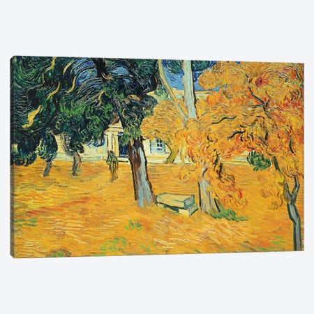 The Park at St. Paul's Hospital, St. Remy, 1889 Canvas Print #BMN9559} by Vincent van Gogh Art Print