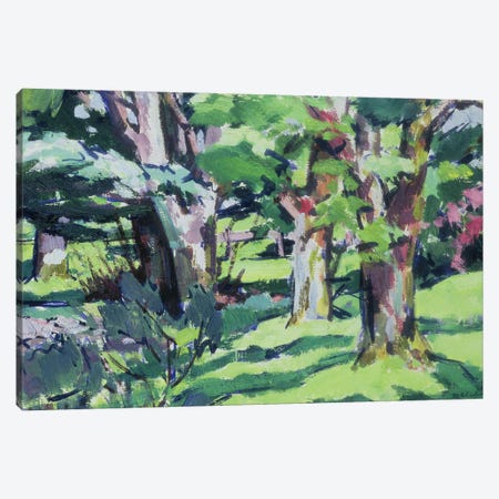 Trees at Auchinleck, Ayrshire  Canvas Print #BMN9628} by Francis Campbell Boileau Cadell Canvas Art Print