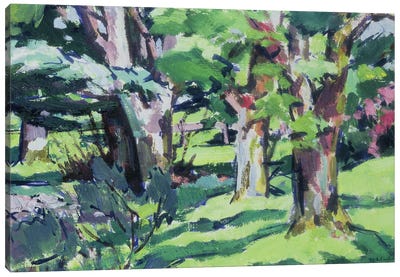 Trees at Auchinleck, Ayrshire  Canvas Art Print