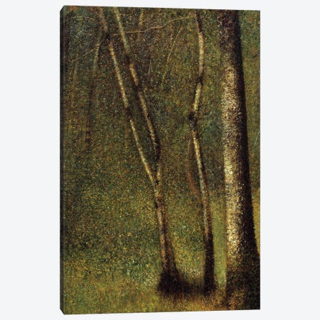 In The Woods At Pontaubert Or The Forest At Pontaubert, 1881 Canvas Print #BMN9644} by Georges Seurat Canvas Art