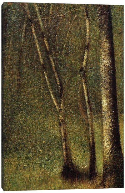 In The Woods At Pontaubert Or The Forest At Pontaubert, 1881 Canvas Art Print