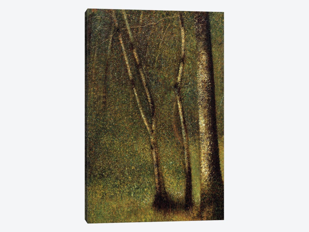 In The Woods At Pontaubert Or The Forest At Pontaubert, 1881 1-piece Canvas Artwork