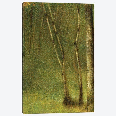 The Forest at Pontaubert, 1881  Canvas Print #BMN9652} by Georges Seurat Canvas Wall Art