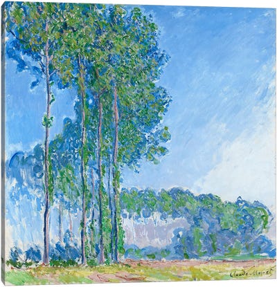 Poplars, 1891  Canvas Art Print - Poplar Tree Art