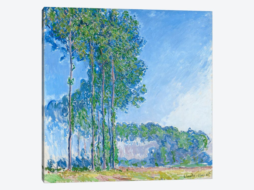 Poplars, 1891  by Claude Monet 1-piece Canvas Art