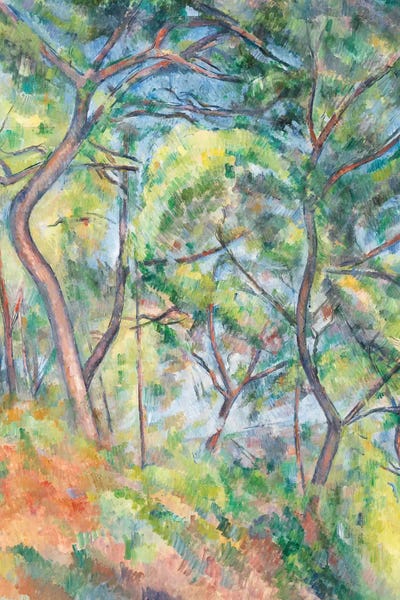 Sous-Bois, c.1894  by Paul Cezanne metal wall art