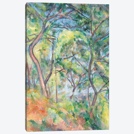 Sous-Bois, c.1894  Canvas Print #BMN9711} by Paul Cezanne Art Print