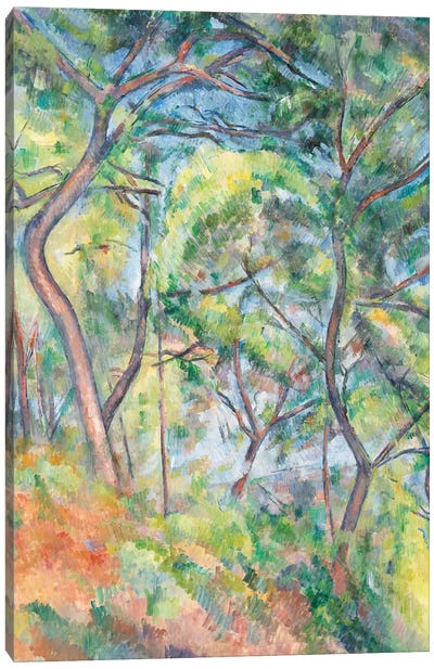 Sous-Bois, c.1894  Canvas Art Print - Paul Cezanne