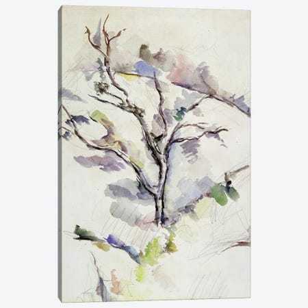 The Oak  Canvas Print #BMN9732} by Paul Cezanne Canvas Print