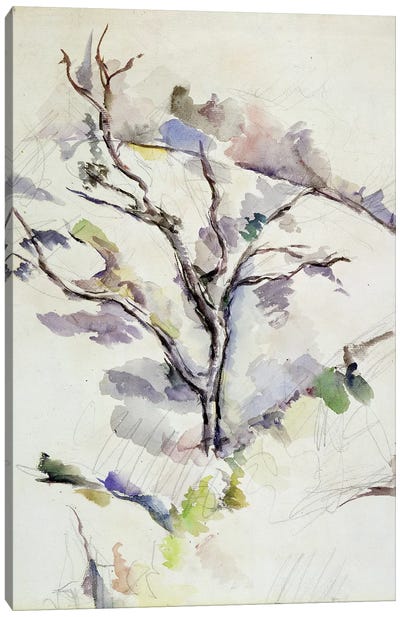 The Oak  Canvas Art Print - Paul Cezanne