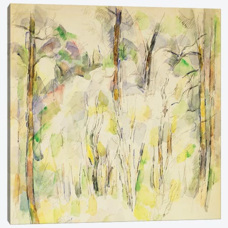 Woodland Scene, c.1900-1904  Canvas Print #BMN9737} by Paul Cezanne Canvas Artwork
