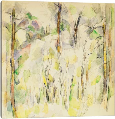 Woodland Scene, c.1900-1904  Canvas Art Print - Paul Cezanne
