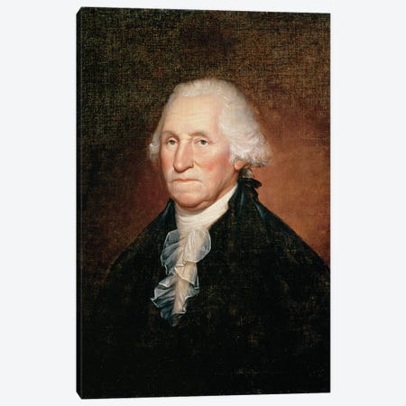 George Washington  1795  Canvas Print #BMN9787} by Rembrandt Peale Canvas Art Print