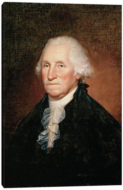 George Washington  1795  Canvas Art Print