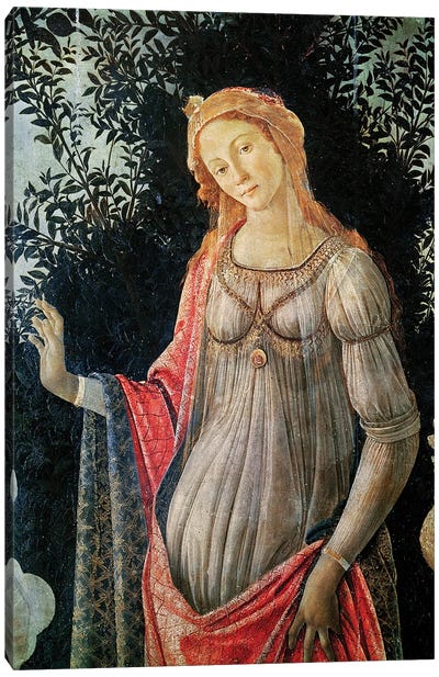Primavera, detail of Venus, c.1478  Canvas Art Print