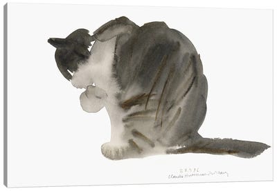 Cat, 1985  Canvas Art Print