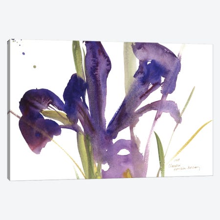 Iris, 1987  Canvas Print #BMN9904} by Claudia Hutchins-Puechavy Canvas Art Print