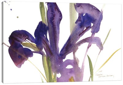 Iris, 1987  Canvas Art Print