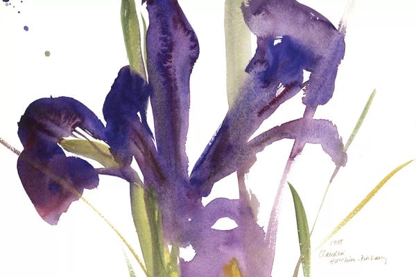 Watercolor Flowers: Iris, 1987  by Claudia Hutchins-Puechavy