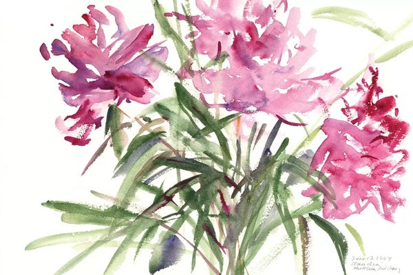 Peonies: Peonies, 2004  by Claudia Hutchins-Puechavy