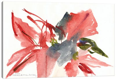 Poinsettia, 2003  Canvas Art Print