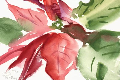 Poinsettias