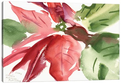 Poinsettia, 2003  Canvas Art Print
