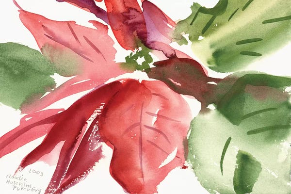 Poinsettias