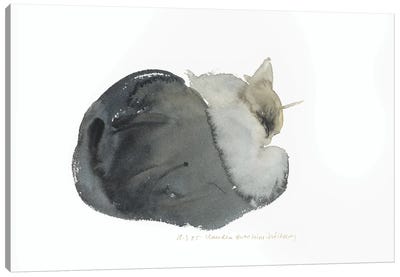 Sleeping Cat, 1985  Canvas Art Print