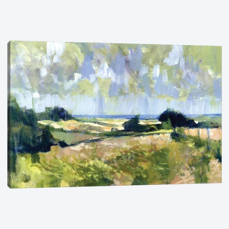 Sutton Downs View, 2007  Canvas Print #BMN9923} by Clive Metcalfe Canvas Art