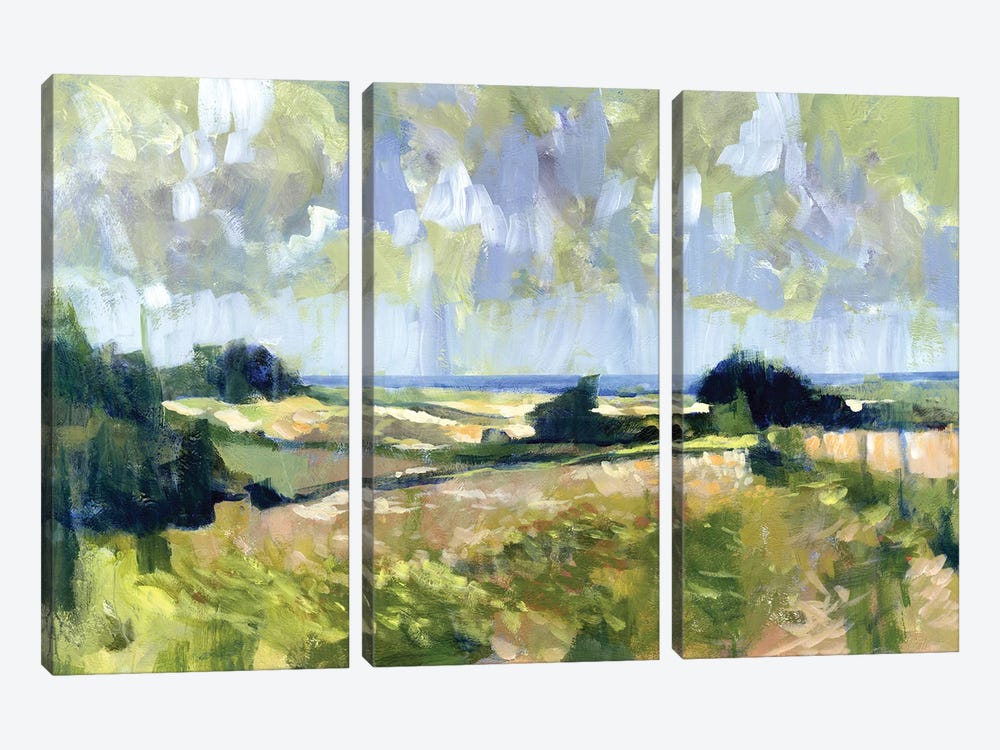 Sutton Downs View, 2007  by Clive Metcalfe 3-piece Canvas Art Print