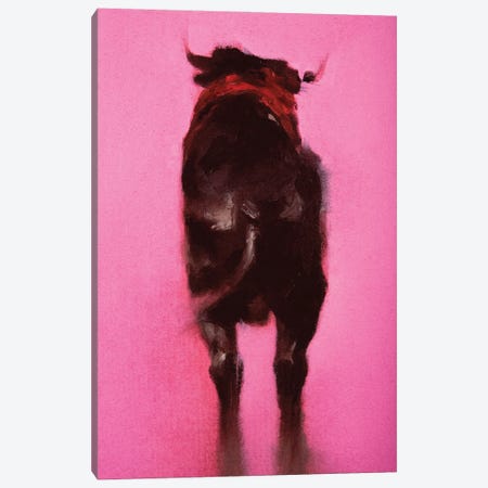 Bull, detail   Canvas Print #BMN9949} by Daniel Cacouault Canvas Artwork