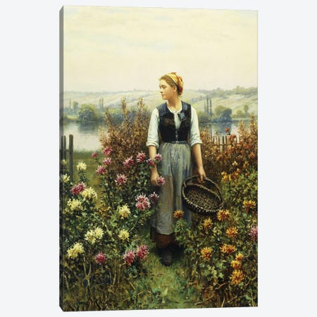 Girl with a Basket in a Garden,  Canvas Print #BMN9953} by Daniel Ridgway Knight Canvas Print