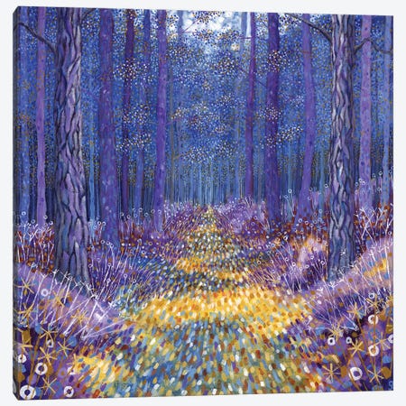 Blue Forest 2, 2012,  Canvas Print #BMN9976} by David Newton Canvas Wall Art