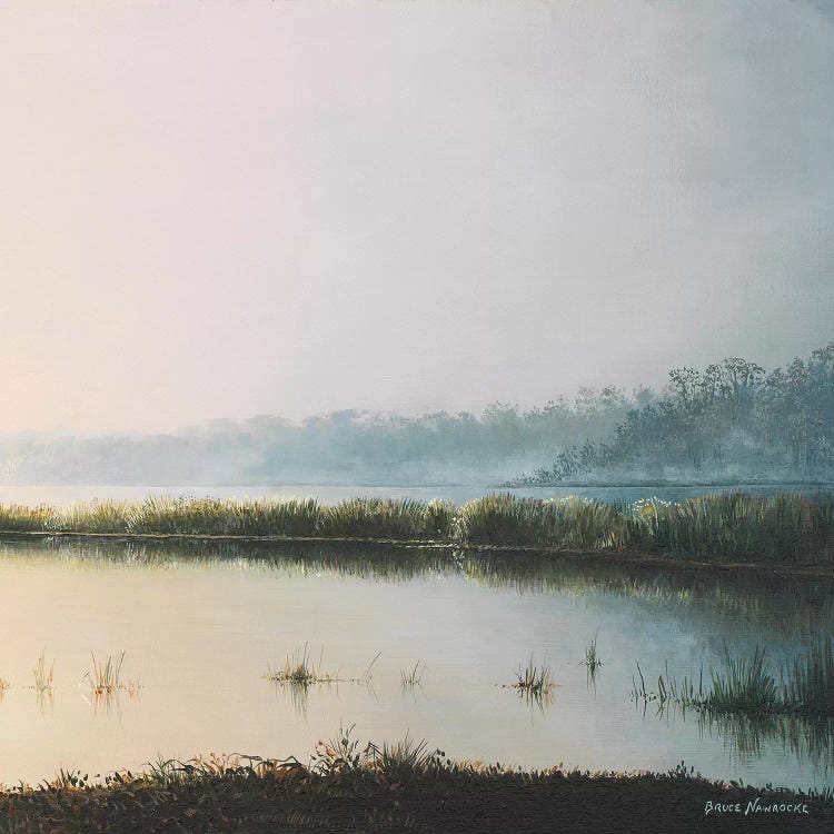Early to Rise II by Bruce Nawrocke wall art