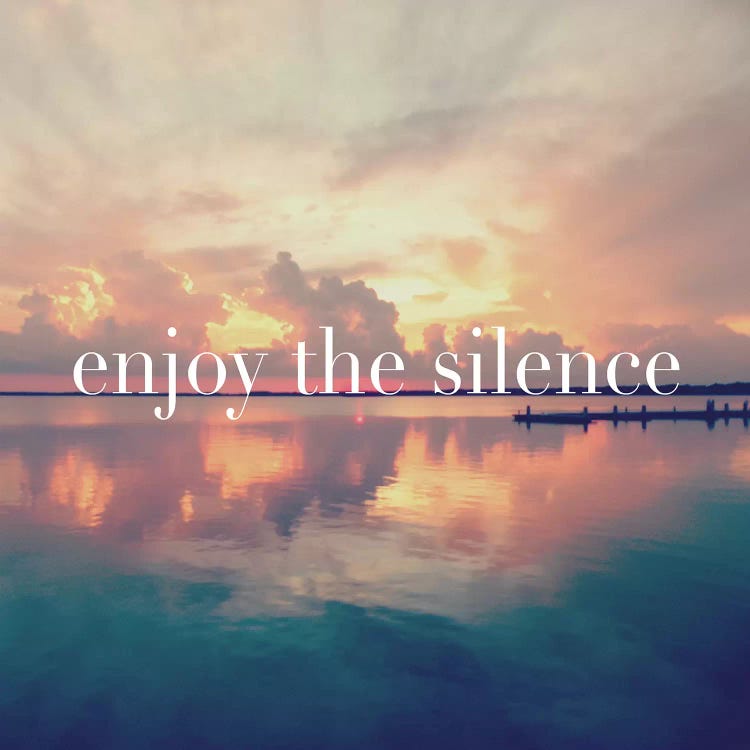 Enjoy the Silence