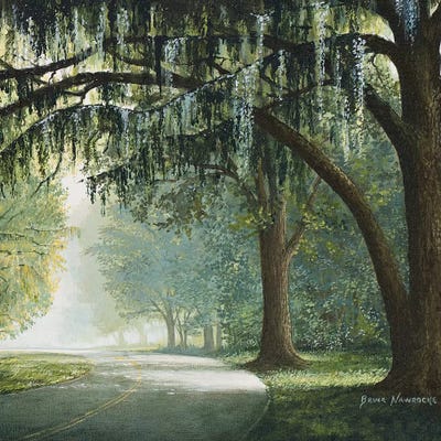 Lake Shore Drive I by Bruce Nawrocke framed canvas print